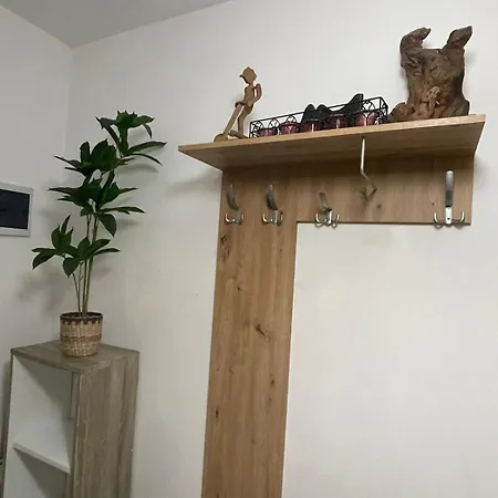 Casa Shay *