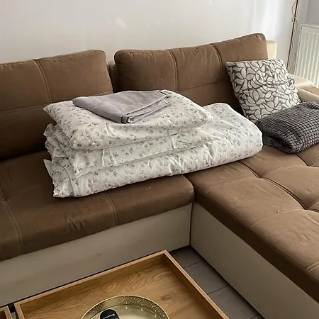 Casa Shay
