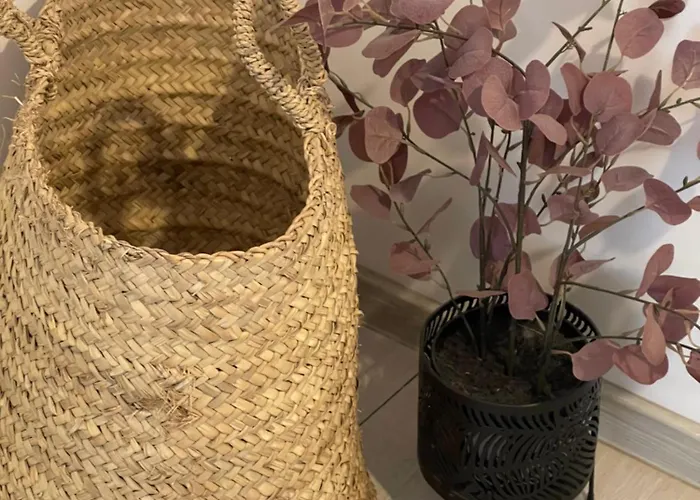 Apartment Casa Shay *